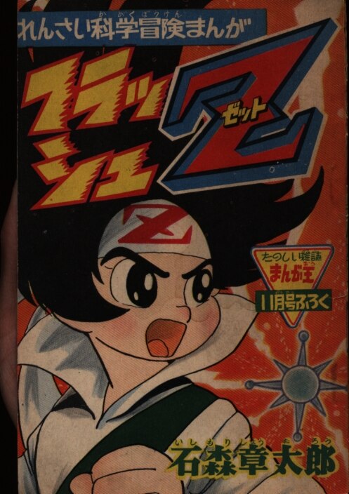 Flash Z cover 3