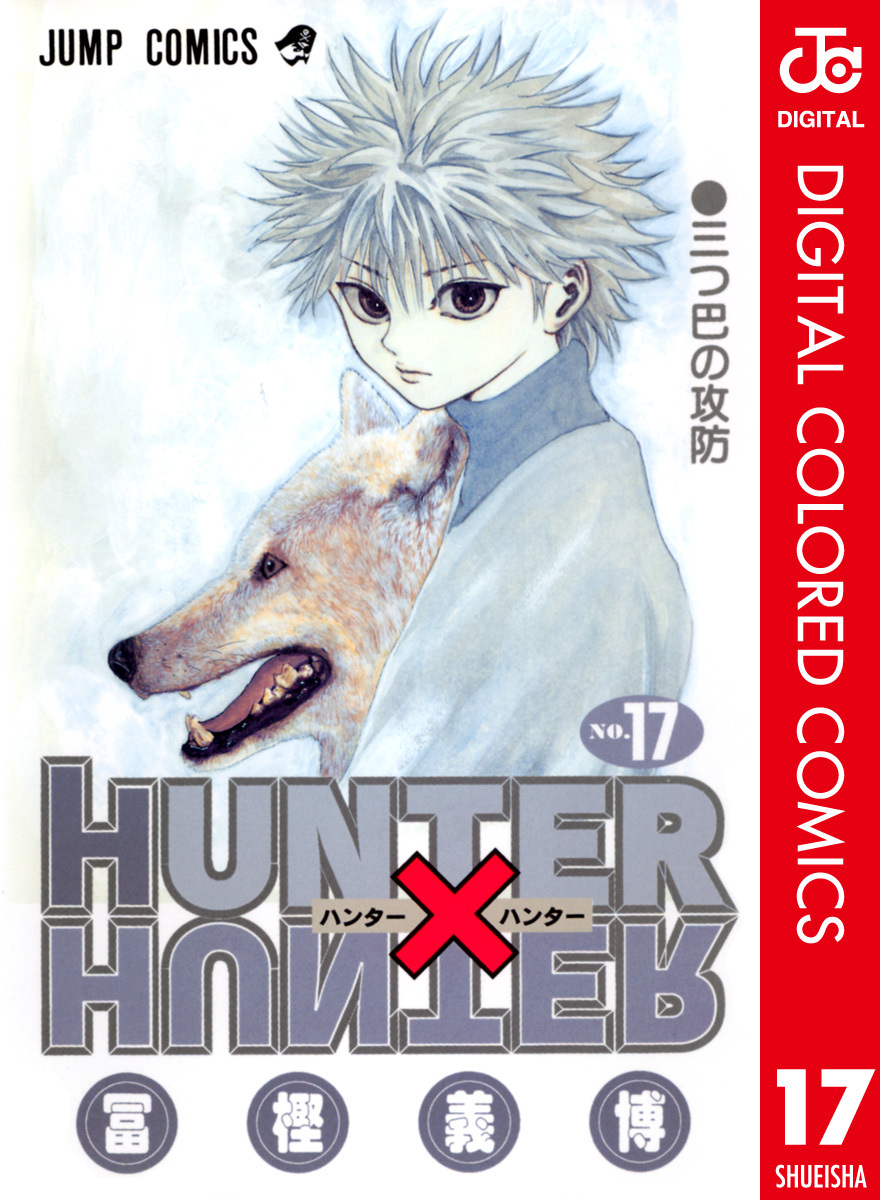 HUNTER x HUNTER - DIGITAL COLORED COMICS cover 19