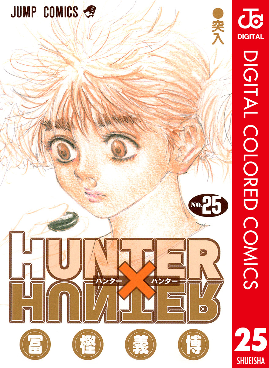 HUNTER x HUNTER - DIGITAL COLORED COMICS cover 11